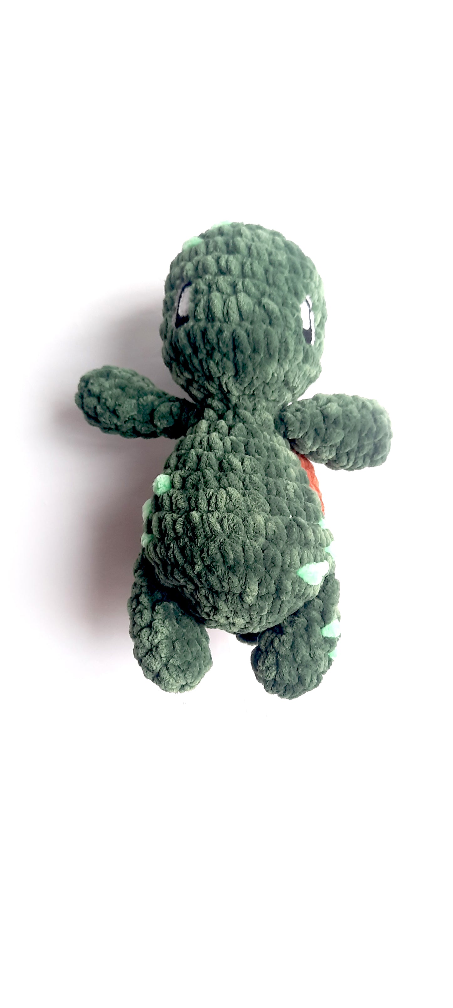 Finn the Turtle
