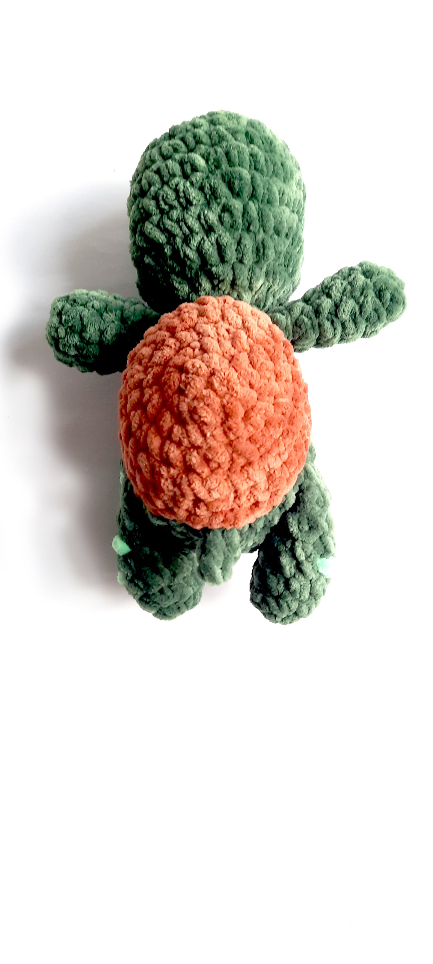 Finn the Turtle